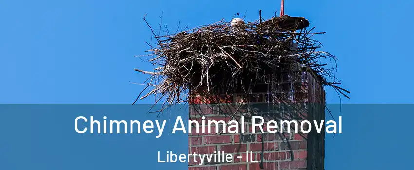 Chimney Animal Removal Libertyville - IL