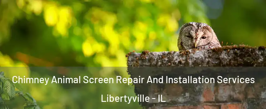  Chimney Animal Screen Repair And Installation Services Libertyville - IL