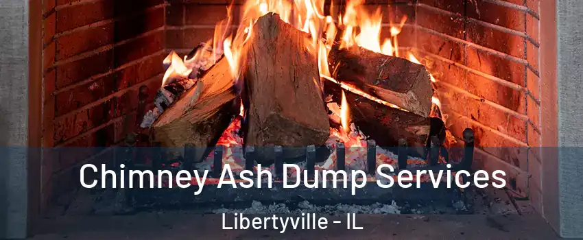  Chimney Ash Dump Services Libertyville - IL