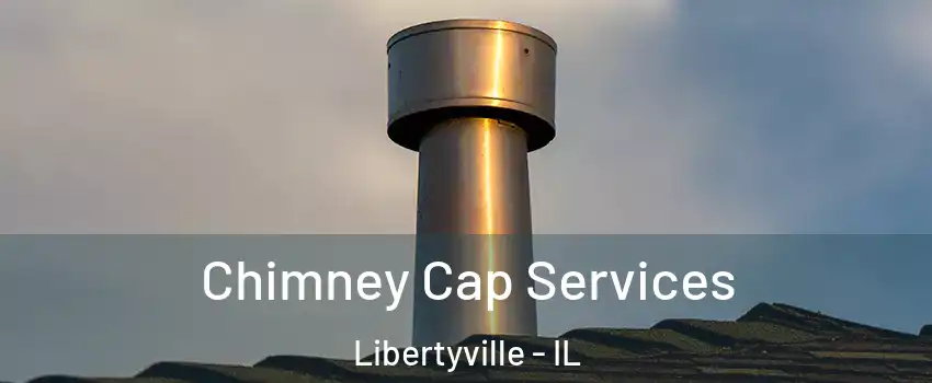  Chimney Cap Services Libertyville - IL