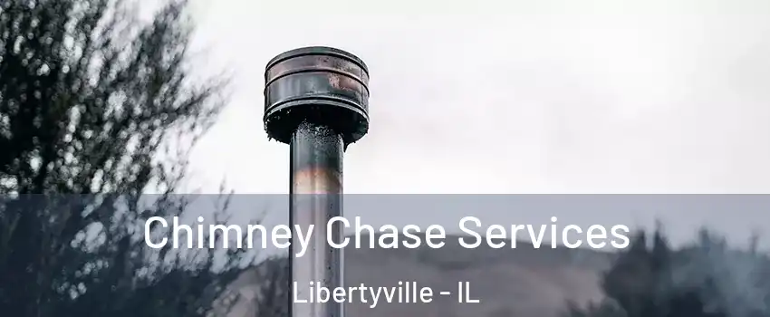  Chimney Chase Services Libertyville - IL