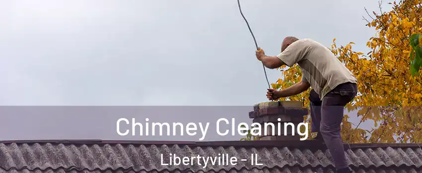  Chimney Cleaning Libertyville - IL