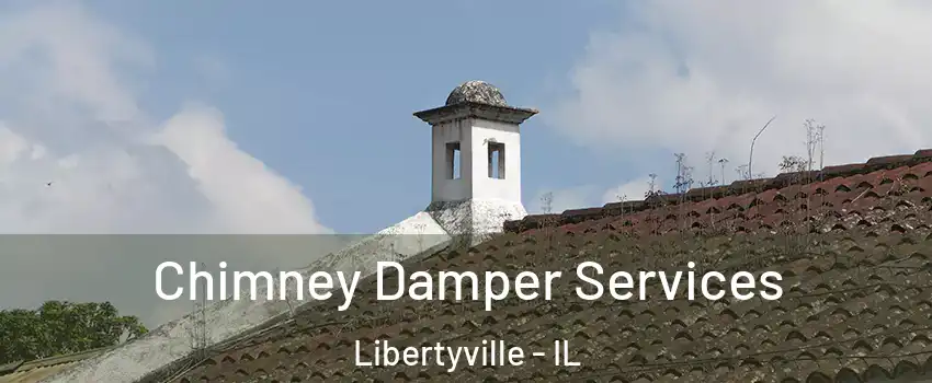  Chimney Damper Services Libertyville - IL