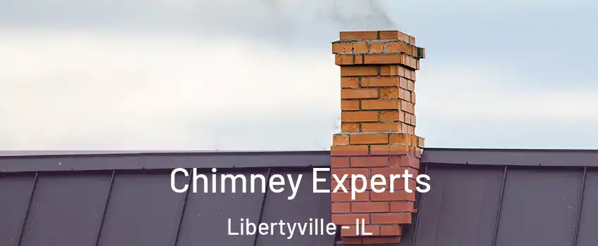 Chimney Experts Libertyville - IL