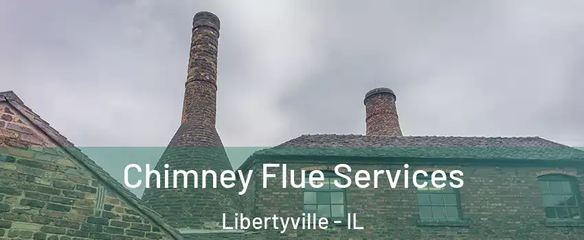  Chimney Flue Services Libertyville - IL