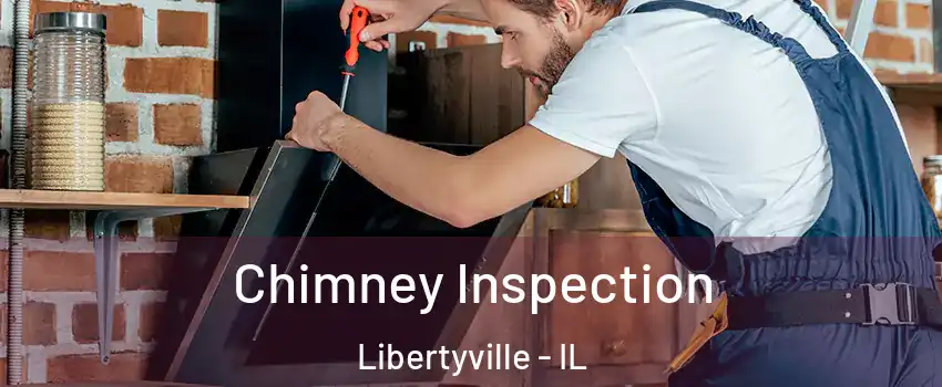  Chimney Inspection Libertyville - IL
