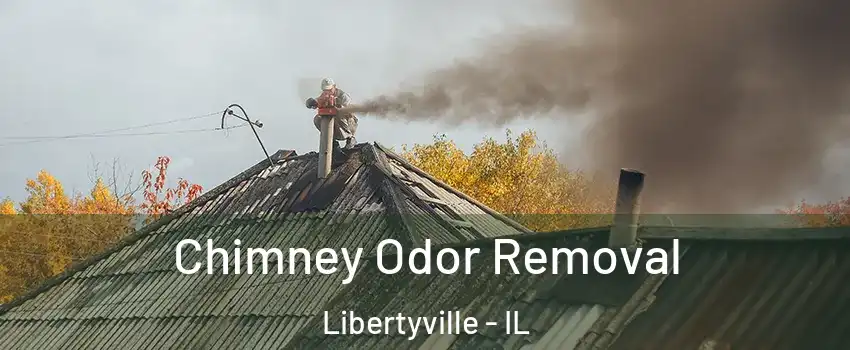  Chimney Odor Removal Libertyville - IL