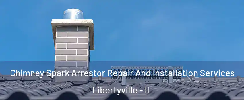  Chimney Spark Arrestor Repair And Installation Services Libertyville - IL