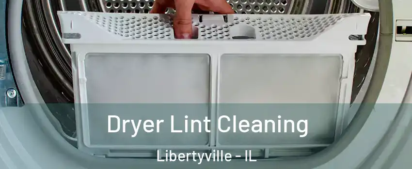  Dryer Lint Cleaning Libertyville - IL