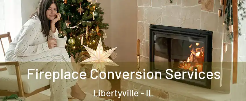  Fireplace Conversion Services Libertyville - IL