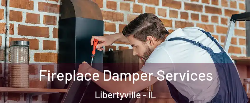  Fireplace Damper Services Libertyville - IL
