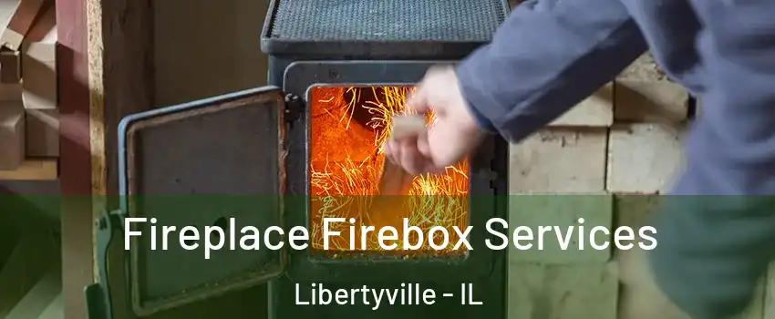  Fireplace Firebox Services Libertyville - IL