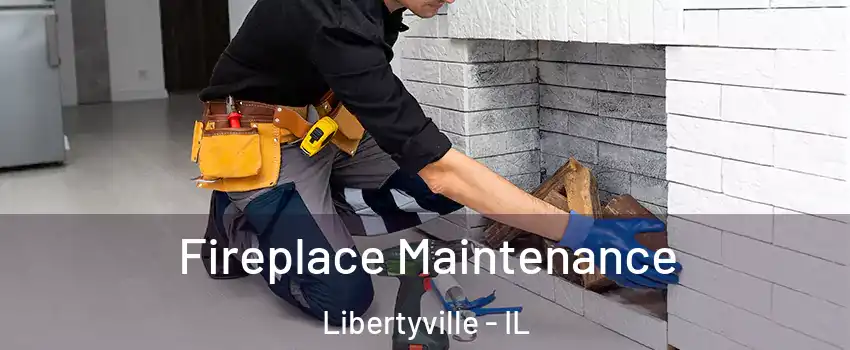  Fireplace Maintenance Libertyville - IL