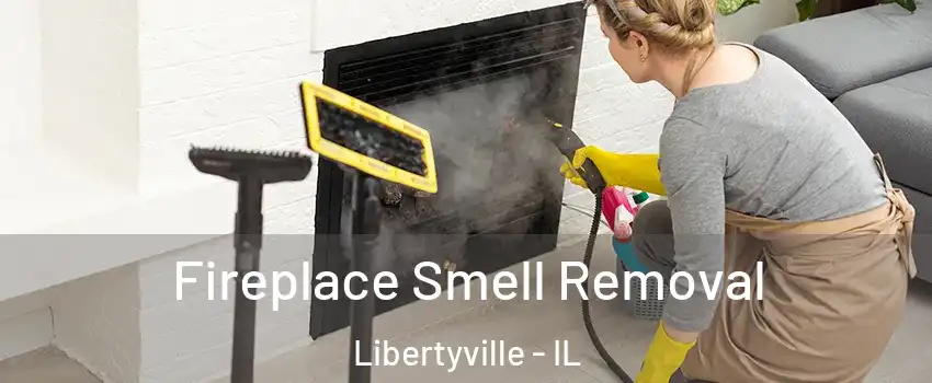  Fireplace Smell Removal Libertyville - IL