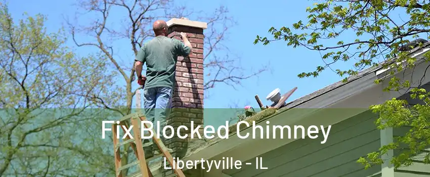  Fix Blocked Chimney Libertyville - IL