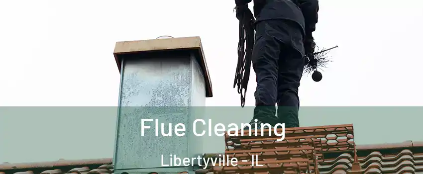  Flue Cleaning Libertyville - IL