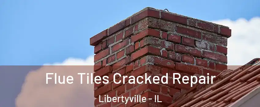  Flue Tiles Cracked Repair Libertyville - IL