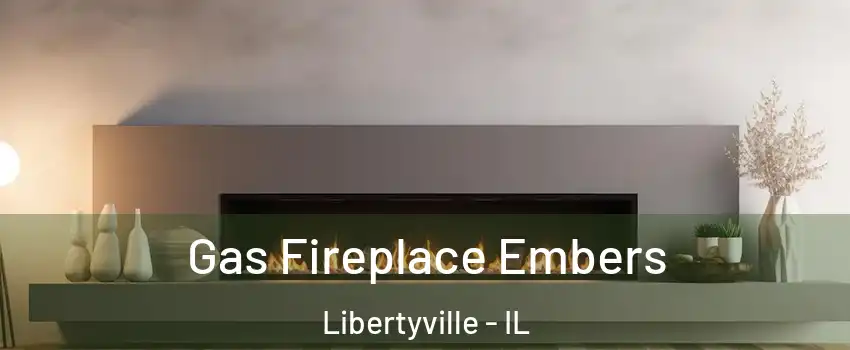  Gas Fireplace Embers Libertyville - IL