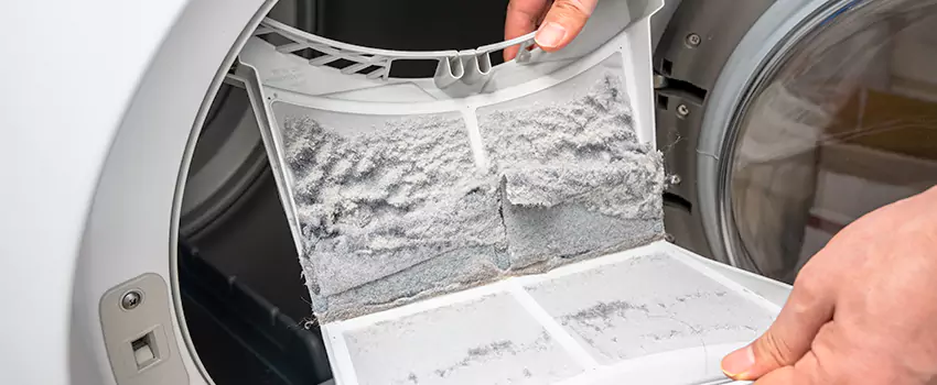 Best Dryer Lint Removal Company in Libertyville, Illinois