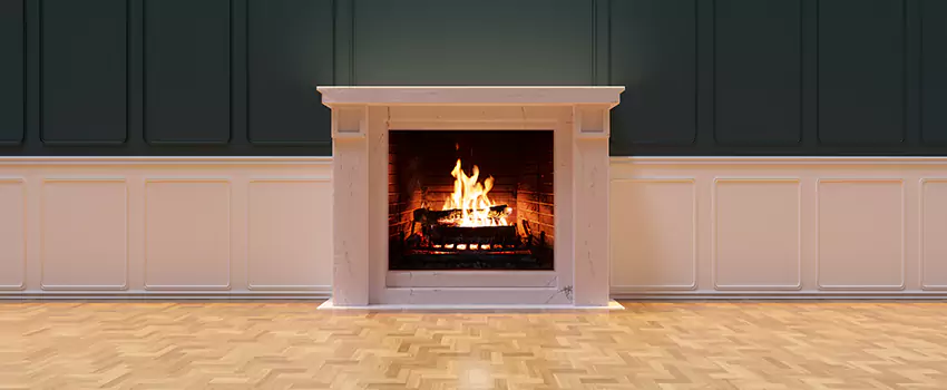 Napoleon Electric Fireplaces Inspection Service in Libertyville, Illinois
