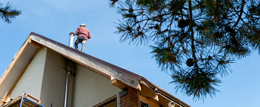 Birds Removal Contractors from Chimney in Libertyville, IL