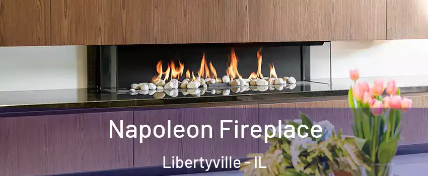  Napoleon Fireplace Libertyville - IL