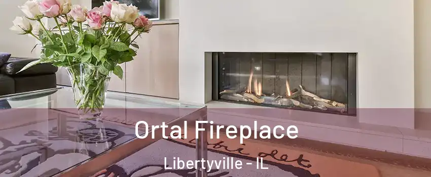 Ortal Fireplace Libertyville - IL