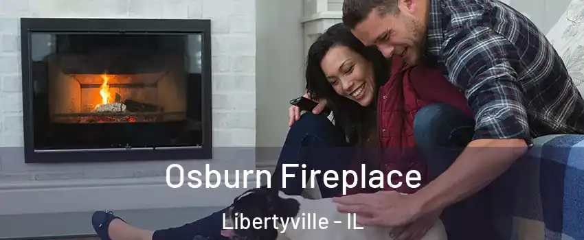  Osburn Fireplace Libertyville - IL